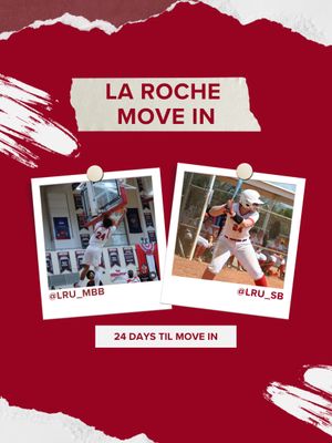 Image post by @larocheredhawks on Instagram
