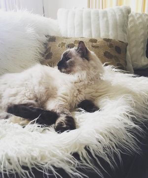 Image post by @mrkate on Instagram