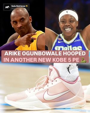 Image post by @soleretriever on Instagram