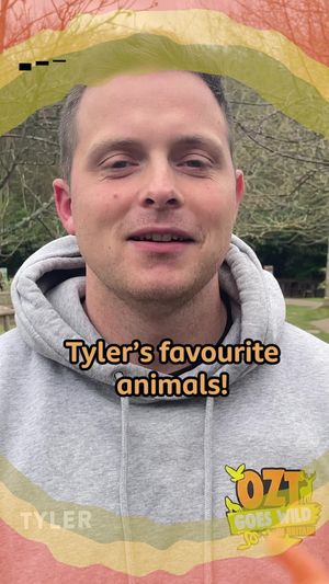 Video post by @cbbc on TikTok