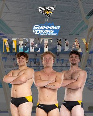 Image post by @towson_diving on Instagram
