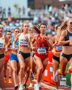 Image post by @bowermantc on Instagram