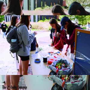 Image post by @the_dailycampus on Instagram