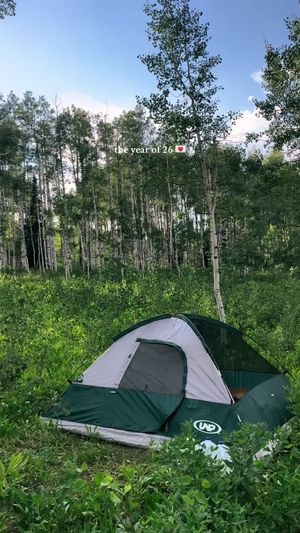 Video post by @filmbychloeg on TikTok
