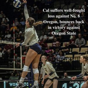 Image post by @dailycalsports on Instagram