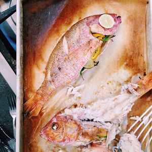 Image post by @testkitchen on Instagram
