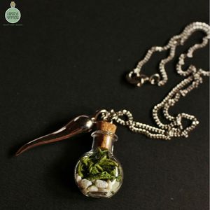 Image post by @leafyaffair on Instagram