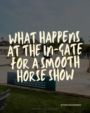 Image post by @theplaidhorsemag on Instagram