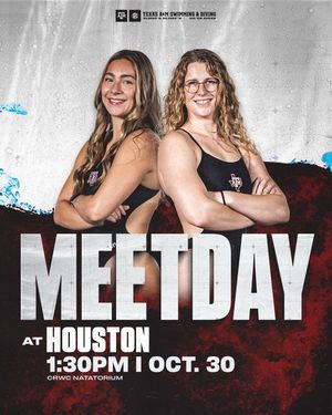 Image post by @aggieswimdive on Instagram