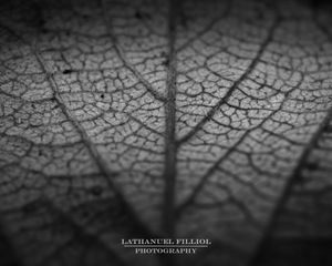Image post by @lathanuelf_photos on Instagram