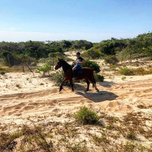 Image post by @paulzsync on Instagram