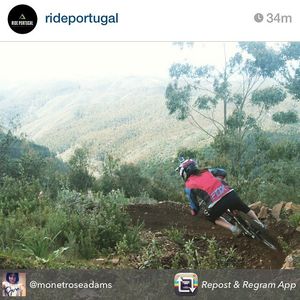 Image post by @vitusbikes on Instagram