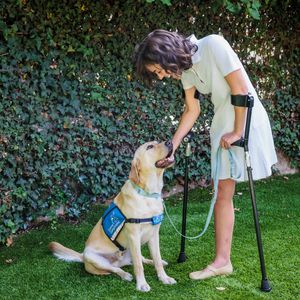 Image post by @canineorg on Instagram
