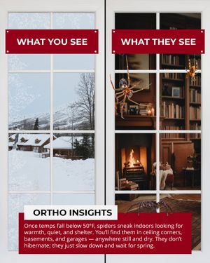 Image post by @ortho on Instagram