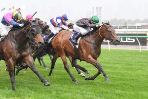Image post by @flemingtonvrc on Instagram