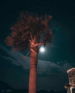 Image post by @g.starcreative on Instagram