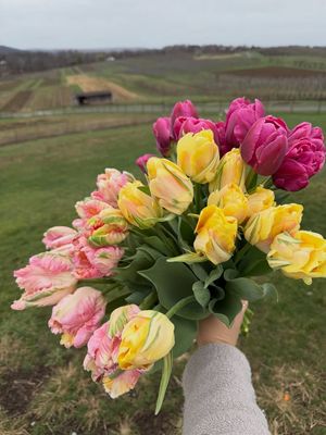 Image post by @fishkillfarms on Facebook