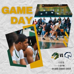 Image post by @tiffinuhoops on Instagram