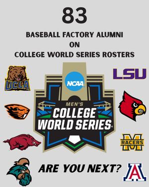 Image post by @baseballfactory on Instagram