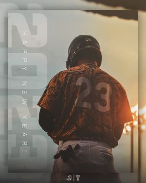 Image post by @GoWoodDucks on Twitter