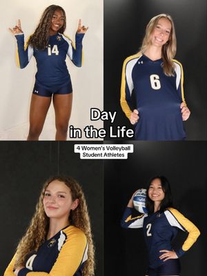 Image post by @ucsc_wvb on Instagram