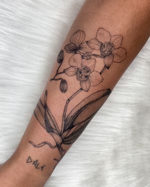 Image post by @tamarafalcomer on Instagram