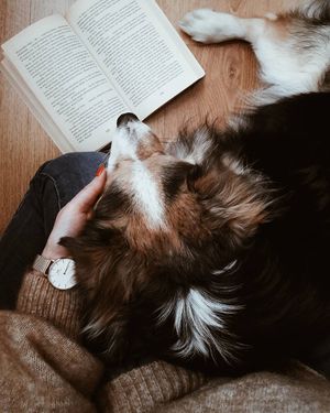 Image post by @kate.simple.life on Instagram