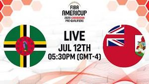 Video post by @fiba on YouTube
