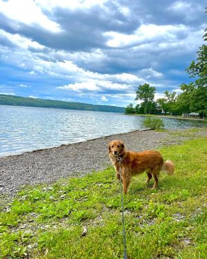 Image post by @smithmemorialparkcampground on Facebook