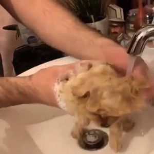 Video post by @RahuaBeauty on Facebook