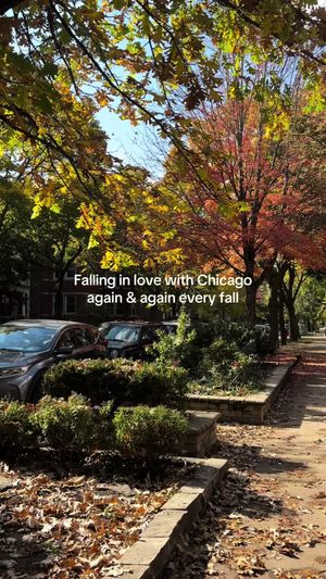 Video post by @smartcitychicago on TikTok
