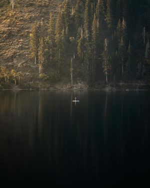Image post by @grainyknight on Instagram