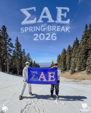Image post by @txstsae on Instagram