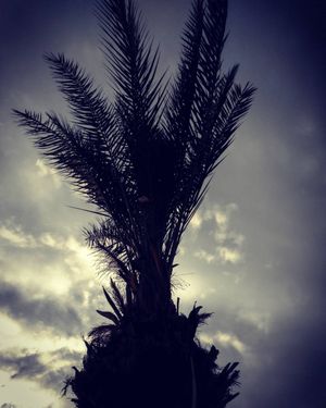 Image post by @faragelo22 on Instagram