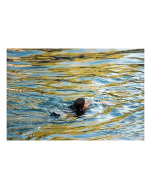 Image post by @abriellekate.photo on Instagram