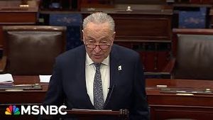 Video post by @msnbc on YouTube