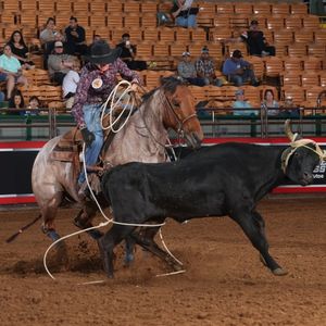 Image post by @womensrodeo on Instagram