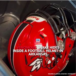 Video post by @foxweather on TikTok