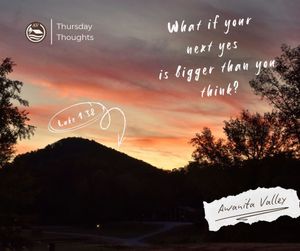 Image post by @awanitavalley on Instagram