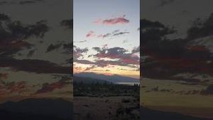 Video post by @allisonhollandmedia on YouTube