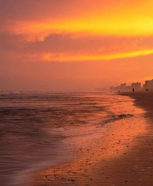Image post by @southcarolina on Instagram