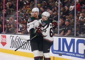 Image post by @ArizonaCoyotes on Twitter