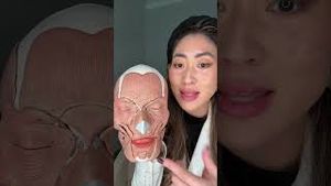 Video post by @shiseidousa on YouTube