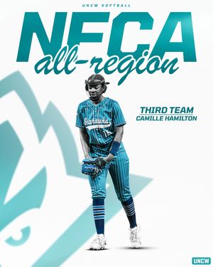 Image post by @uncwsoftball on Instagram