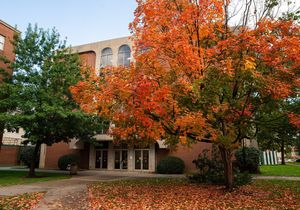 Image post by @marshallu on Instagram