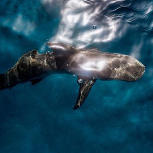 Image post by @the_ad_photog on Instagram