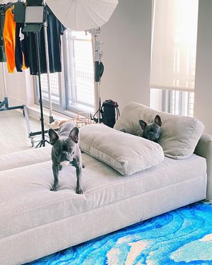 Image post by @justindiego on Instagram