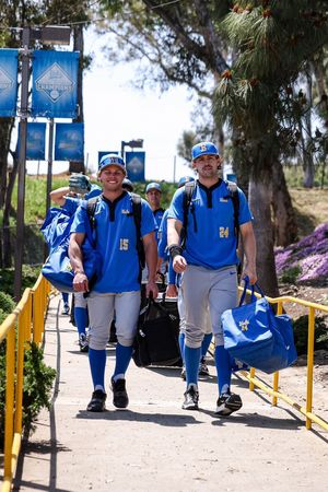 Image post by @UCLABaseball on Twitter