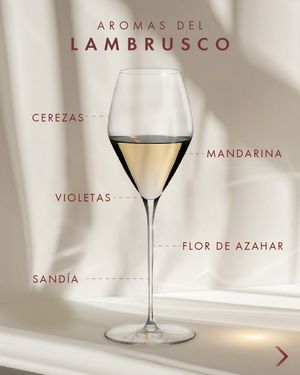 Image post by @riedelpartner_vnzla on Instagram