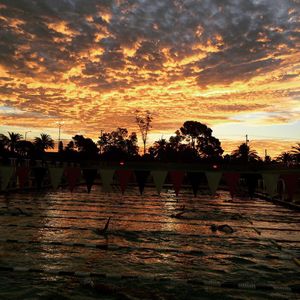 Image post by @arizonaswimdive on Instagram
